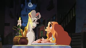 La dama y el vagabundo — foto 6