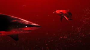 Sharks vs. Dolphins: Blood Battle — foto 1