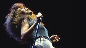 Tina Turner : Celebrate! — foto 1