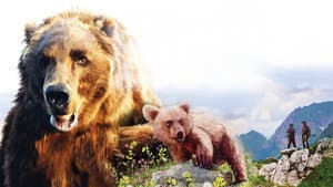 El oso — foto 10