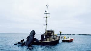 In the Teeth of Jaws — foto 1