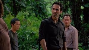Episodio 12