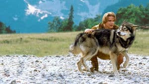 Colmillo blanco 2: El mito del lobo blanco — foto 3