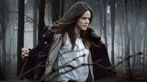 Woman on the Run — foto 2