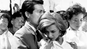 Hiroshima mon amour — foto 7