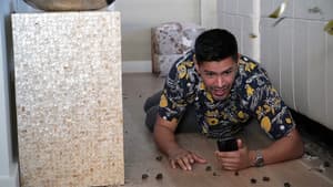 Episodio 16