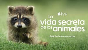 La vida secreta de los animales — foto 8
