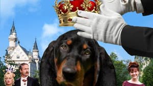 The Duke — foto 10