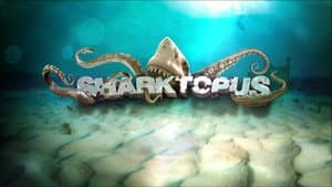 Sharktopus — foto 7