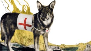A Dog of the Regiment — foto 1