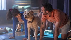 Merv — foto 3