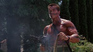 Comando — foto 12