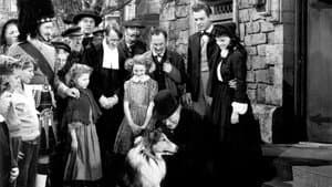 Victorias de Lassie — foto 3