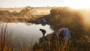 Okavango: El Alma Africana — foto 7