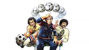 L'allenatore nel pallone — foto 3