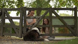 Lizzie — foto 5