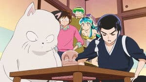 Episodio 29