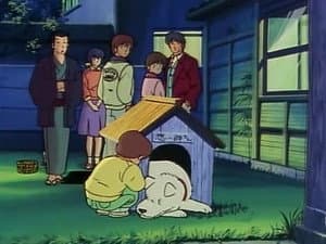 Episodio 25