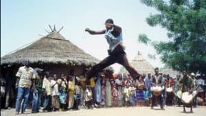 Circus Baobab — foto 1