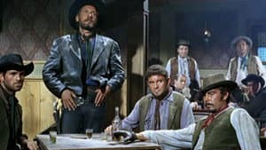 Ringo del Nebraska — foto 3