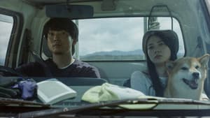 記憶の居所 — foto 1