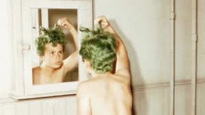 El niño del cabello verde — foto 2