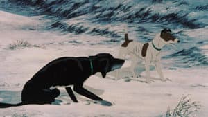 Los perros de la plaga — foto 11