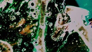 Delicacies of Molten Horror Synapse — foto 1