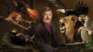 Animales Fantásticos: Una Historia Natural — foto 1