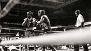 They Fight — foto 1