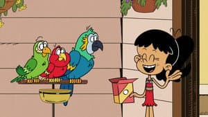 Episodio 33