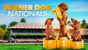 Un Perro Salchicha en las Nacionales — foto 1