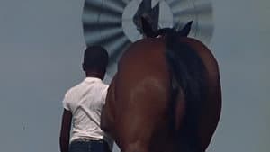 The Horse — foto 2