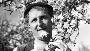 Le Rosier de madame Husson — foto 1