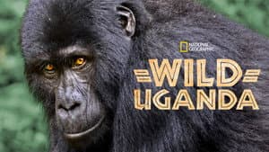 Uganda Salvaje (Wild Uganda) — foto 2