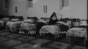 An Old Man's Tear — foto 12