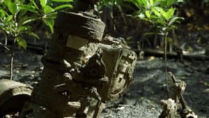 綠色牢籠 — foto 8