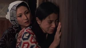 大地の子守歌 — foto 2