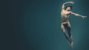 Dancer — foto 5