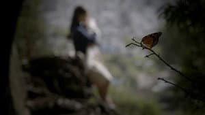 Mariposa — foto 1