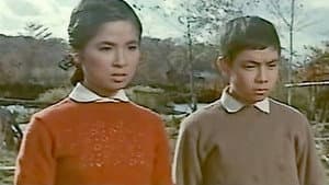 コタンの口笛 — foto 1