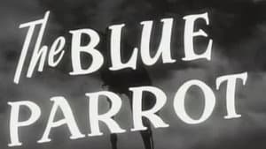 The Blue Parrot — foto 4