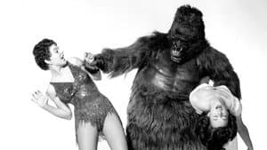 Gorilla at Large — foto 5