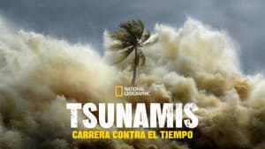 Tsunamis: Carrera contra el tiempo — foto 10