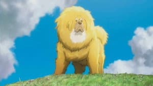 チベット犬物語 ～金色のドージェ～ — foto 2