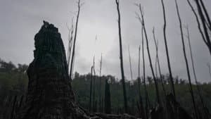Episodio 11