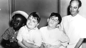 Men in Fright — foto 1