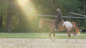 Grace Wins — foto 3
