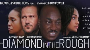 Diamond in the Rough — foto 1