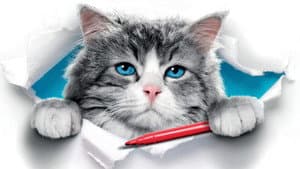 Mi papá es un gato — foto 1